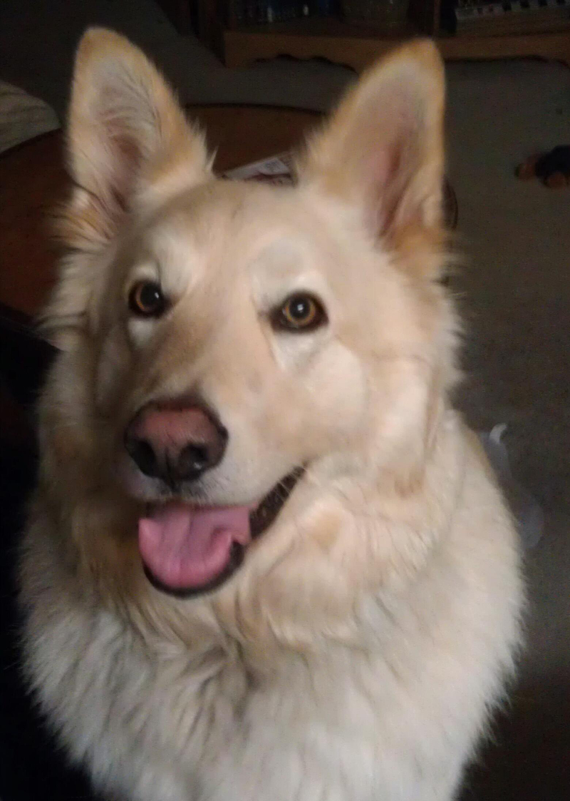 Nellie